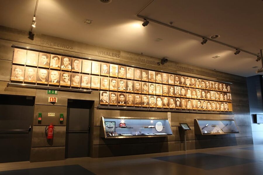 Caniçal : Madeira Whale Museum Entry ticket - Audio guide tips: how to use the device without missing the good stuff