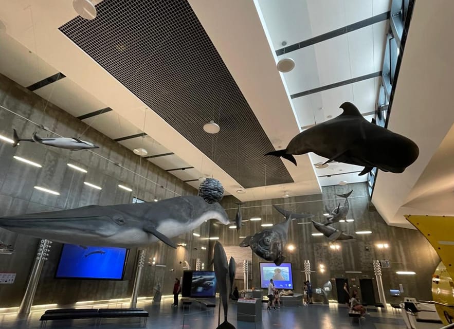 Caniçal : Madeira Whale Museum Entry ticket - Where the Whale Museum fits into your Madeira day