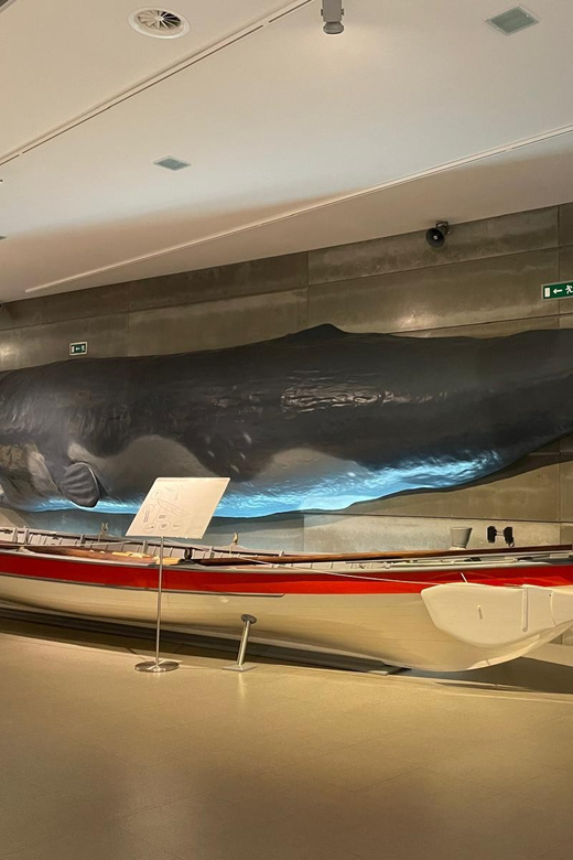 Caniçal : Madeira Whale Museum Entry ticket - Life-size whale and dolphin models: the scale trick that makes learning stick