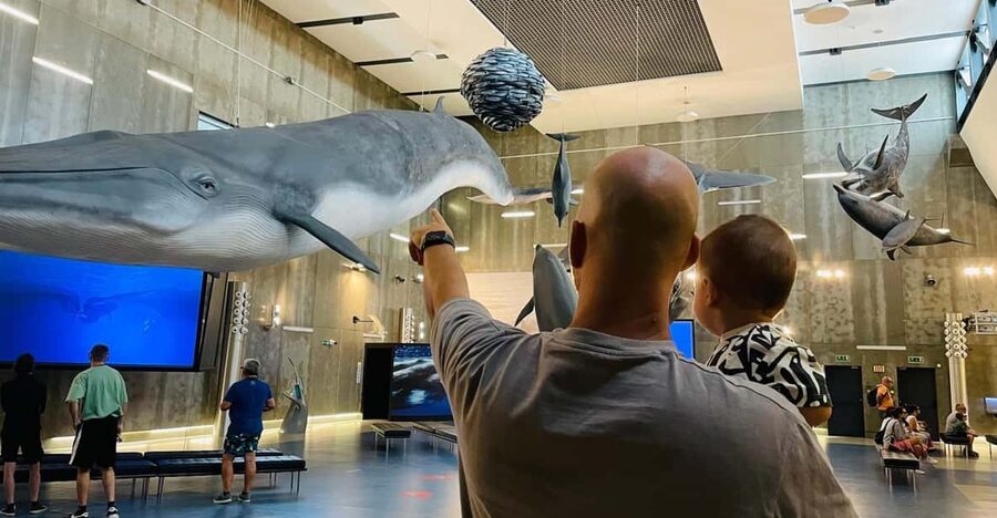 Caniçal : Madeira Whale Museum Entry ticket - Temporary exhibitions: a rotating bonus that keeps the visit fresh
