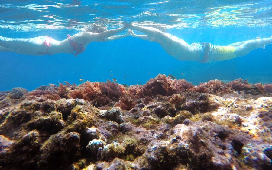 Caniço, Madeira: Marine Reserve Kayak & Snorkelling Tour - Kayaking Along Madeira’s Coast: The Part That Feels Like Free Seafaring