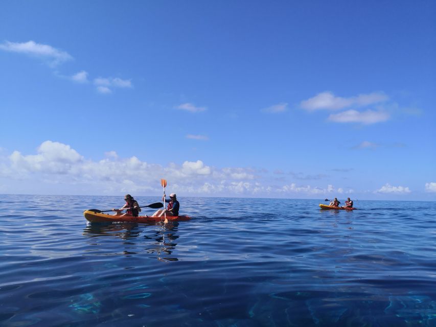 Caniço, Madeira: Marine Reserve Kayak & Snorkelling Tour - Underwater Details You Can Actually Use: How to See More Fish