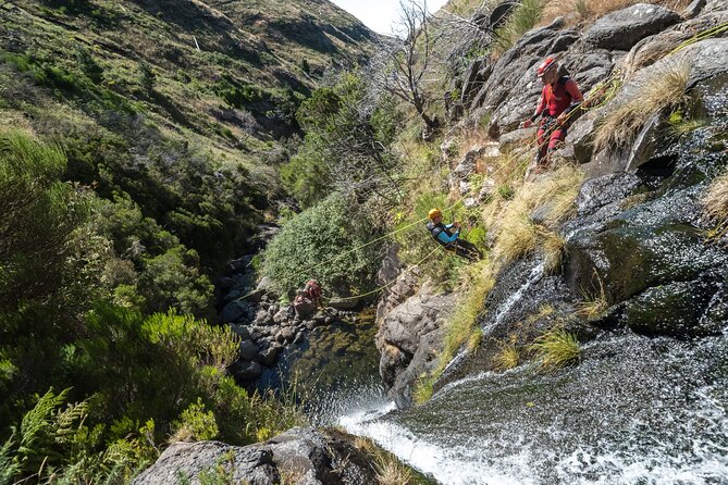 Canyoning in Madeira: Ideal for Beginners and Families - Beginner-friendly canyoning in Madeira: what you’re really signing up for
