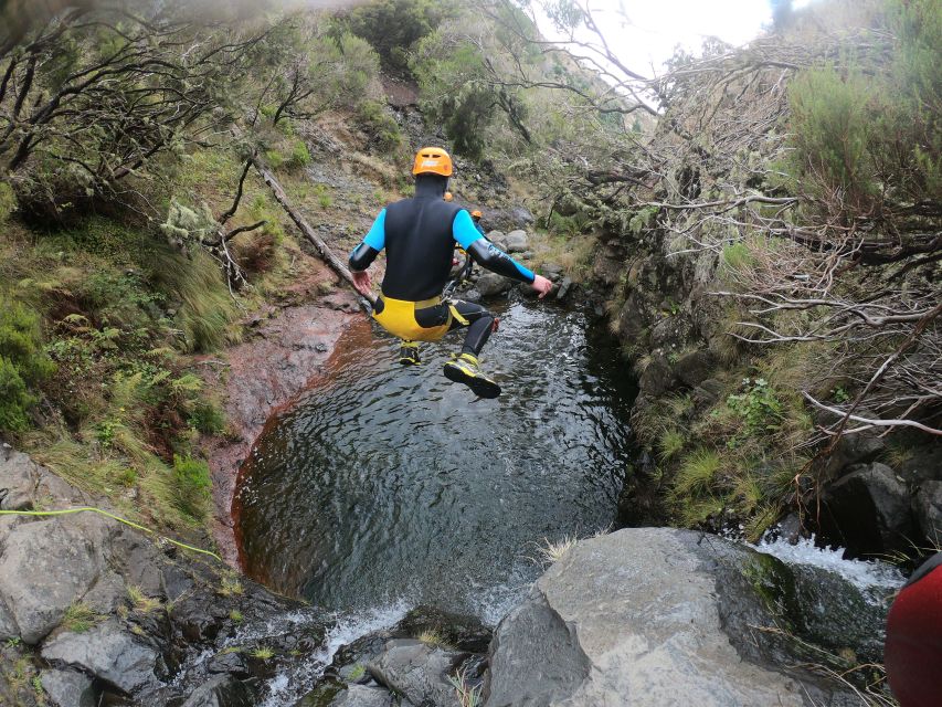 Canyoning in Madeira: Ideal for First-Timers and Families - Inside the canyon: Ribeira das Cales and five rappels