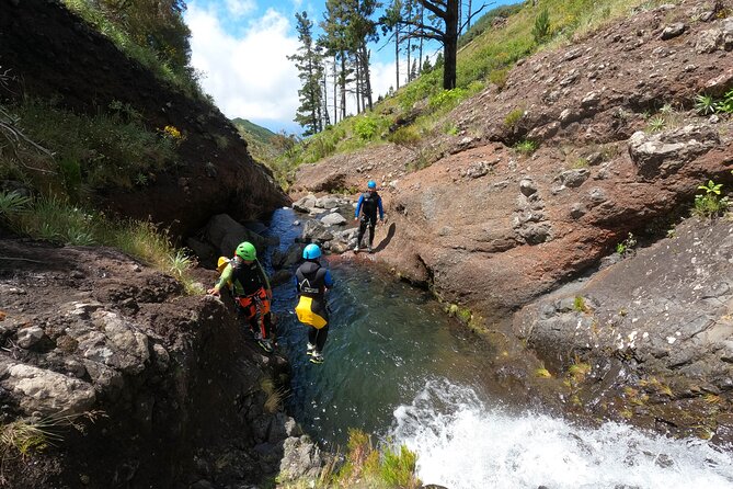 Canyoning in Madeira Island- Level 1 - Price and value: what $78.60 includes that you would otherwise pay for