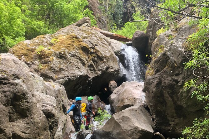 Canyoning Madeira Island Level 2 - Who should book this Level 2 canyoning trip