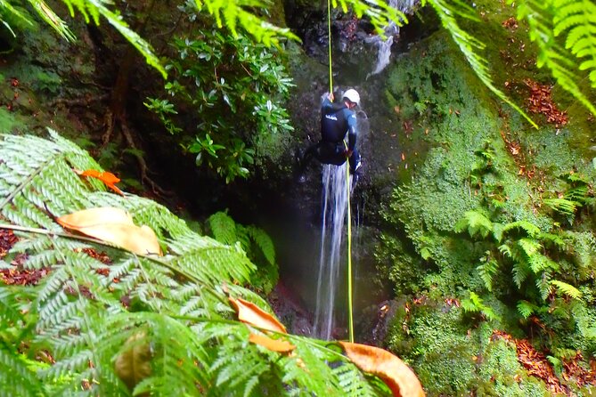 Canyoning Madeira Island - Level One - The Guides: Clear Instructions, Humor, and Calm Control