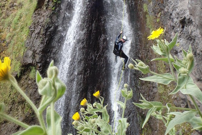Canyoning Madeira Island - Level Two - The canyoning sequence: waterfalls, pools, rappels, and stream time