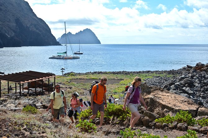 Catamaran Day Cruise to Desertas Islands from Funchal - Key points before you go
