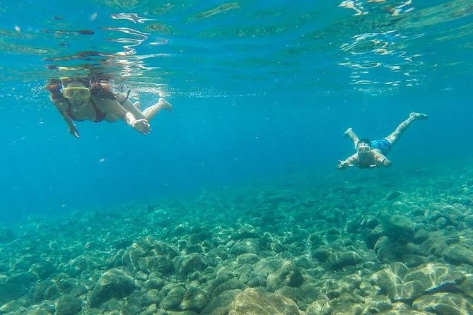 Catamaran Day Cruise to Desertas Islands from Funchal - Price and Value: Is $108.37 Worth Your Day?