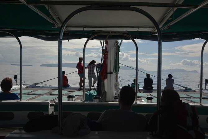 Catamaran Day Cruise to Desertas Islands from Funchal - Logistics That Matter: Meeting Point, Group Size, and Comfort