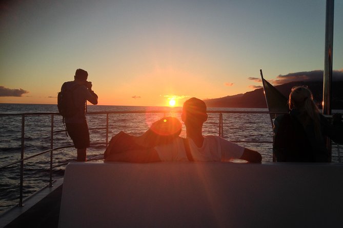Catamaran Sunset Cruise from Funchal - Key highlights before you go