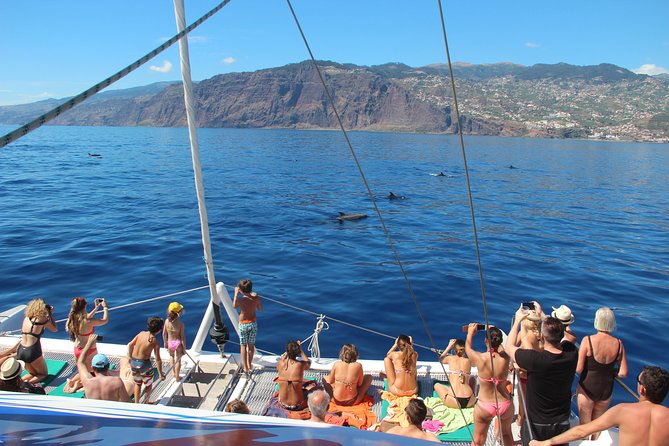 Catamaran Sunset Cruise from Funchal - The 3-hour sail: from Funchal lights to the Desert Islands