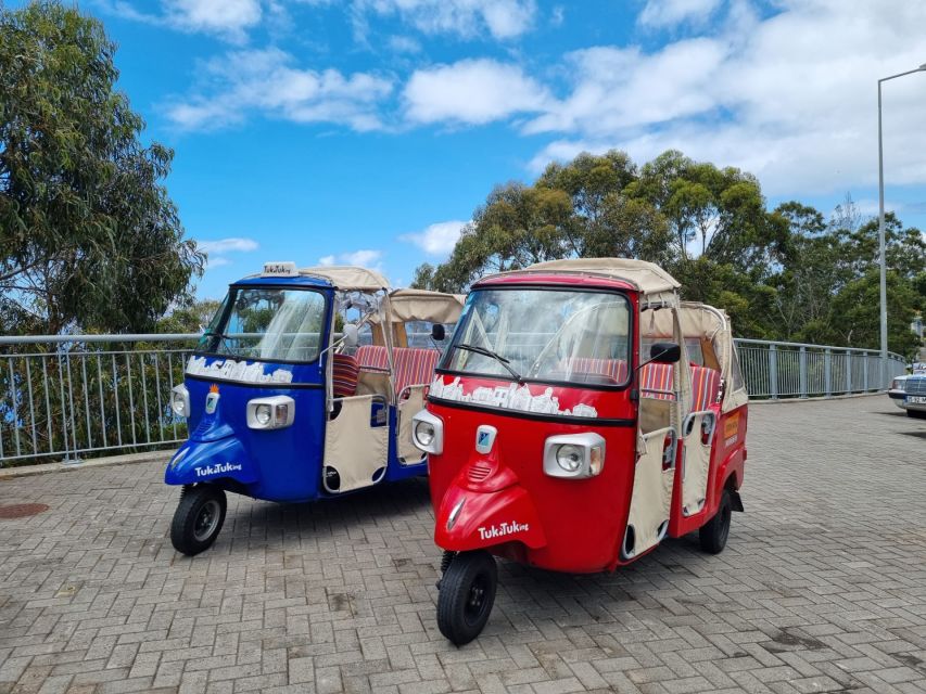 Cristo Rei & Garajau Tuk-Tuk Tour - Key highlights to know before you go