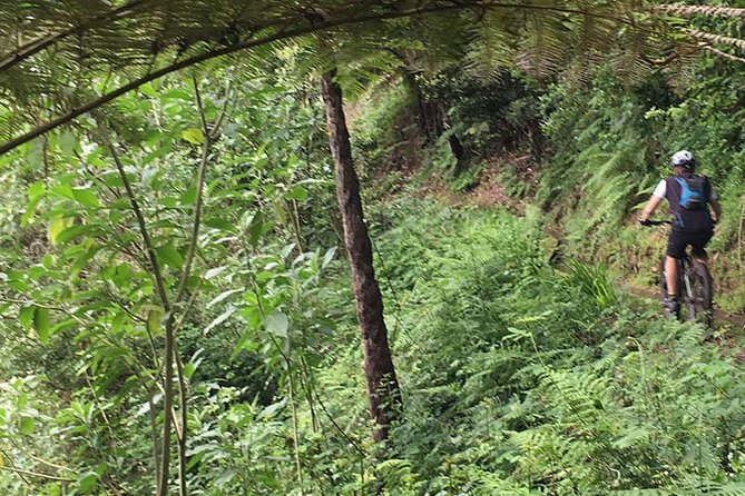 Cross Country - Moutain Bike Tour - Why This Portela Mountain Bike Tour Feels Different Than a Typical Ride
