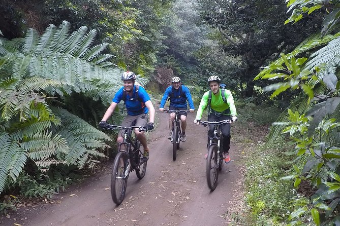 Cross Country - Moutain Bike Tour - Ride Quality and Safety: The Bike, Helmet, and Guide Support You Get