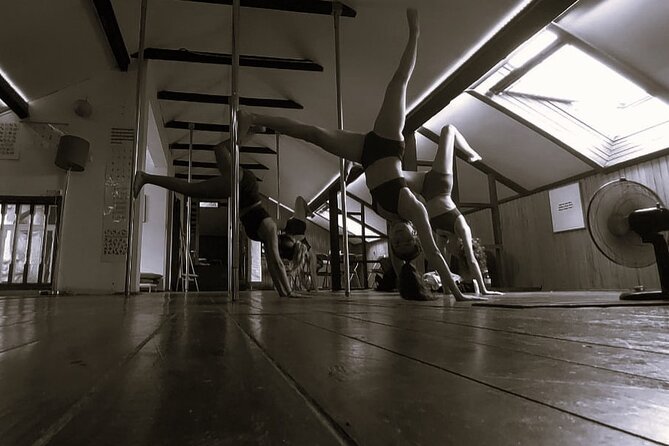 Dance Class (choose 1: Pole Dance, Burlesque or Aerial Silk/Hoop) - The studio vibe matters: friendly, attentive, and judgment-free