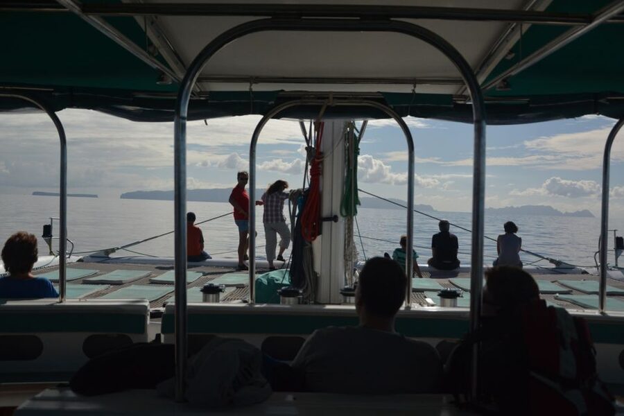 Desertas Islands Full-Day Catamaran Trip from Funchal - Key highlights worth your attention