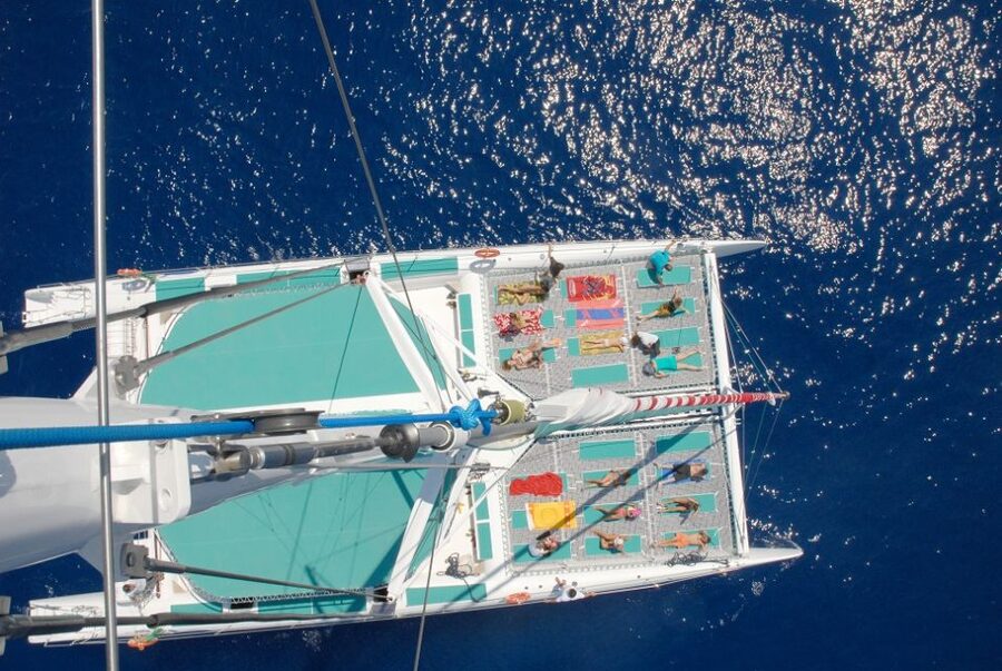 Desertas Islands Full-Day Catamaran Trip from Funchal - Wildlife sightings: possible dolphins and whales, not guaranteed seals