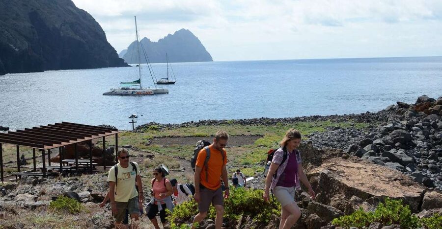 Desertas Islands Full-Day Catamaran Trip from Funchal - Sailing from Funchal to Desertas, with a chance at wild marine life
