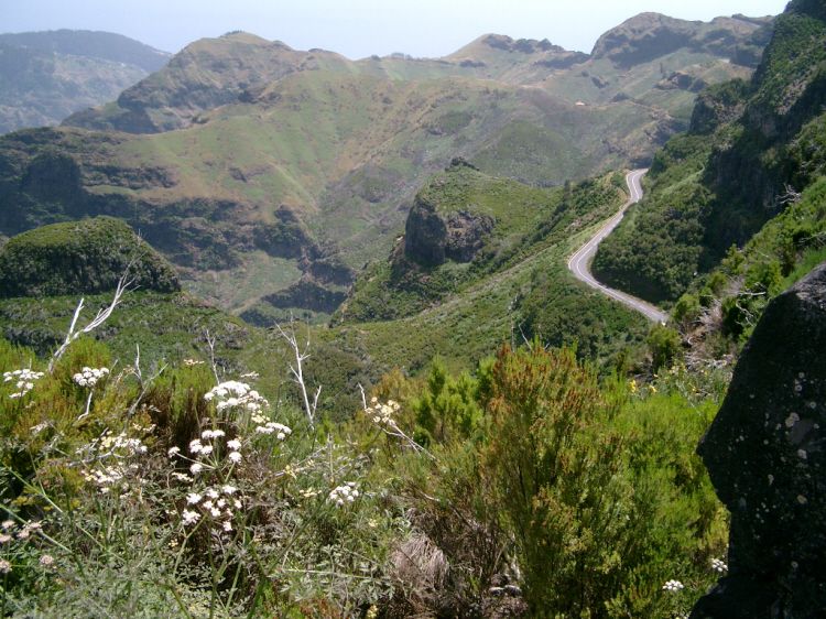 Discover Madeira: Full-Day Tour to Porto Moniz - Price and what $46 buys you on Madeira