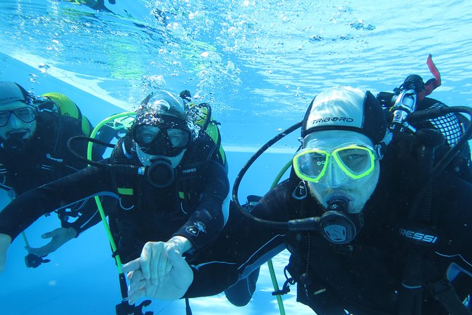 Discover Scuba Diving or Try dive - Getting there in Madeira, and what 3 hours really means