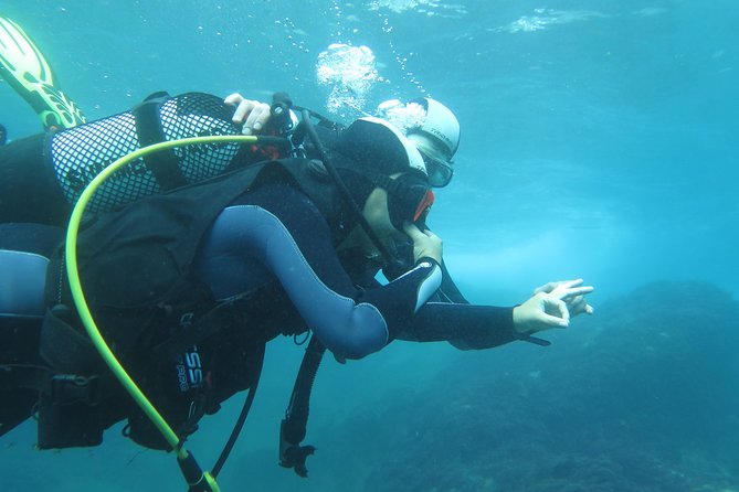 Discover Scuba Diving or Try dive - Equipment is included, so you can spend your energy on yourself