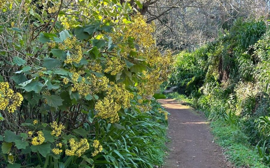 Discover the Paradise Valley - a quick escape for Everyone - Key things I’d highlight before you go