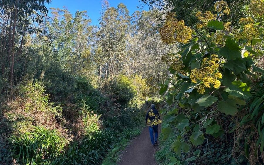 Discover the Paradise Valley - a quick escape for Everyone - Where Paradise Valley fits in Madeira day plans
