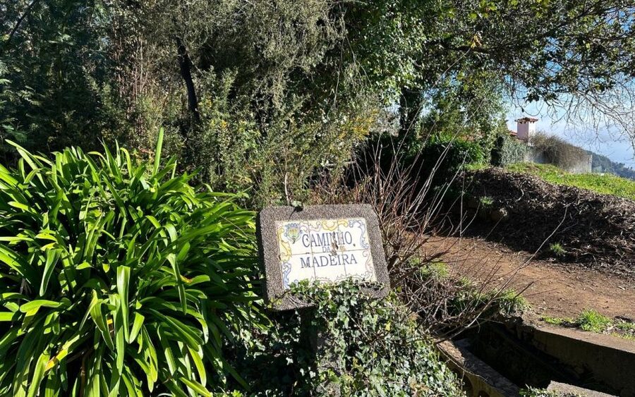 Discover the Paradise Valley - a quick escape for Everyone - The 5.5 km easy walk through Madeira’s Laurissilva