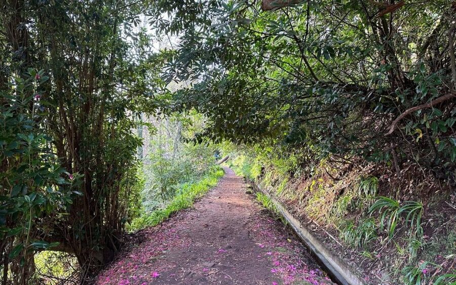 Discover the Paradise Valley - a quick escape for Everyone - Walking pace and how the timing actually feels