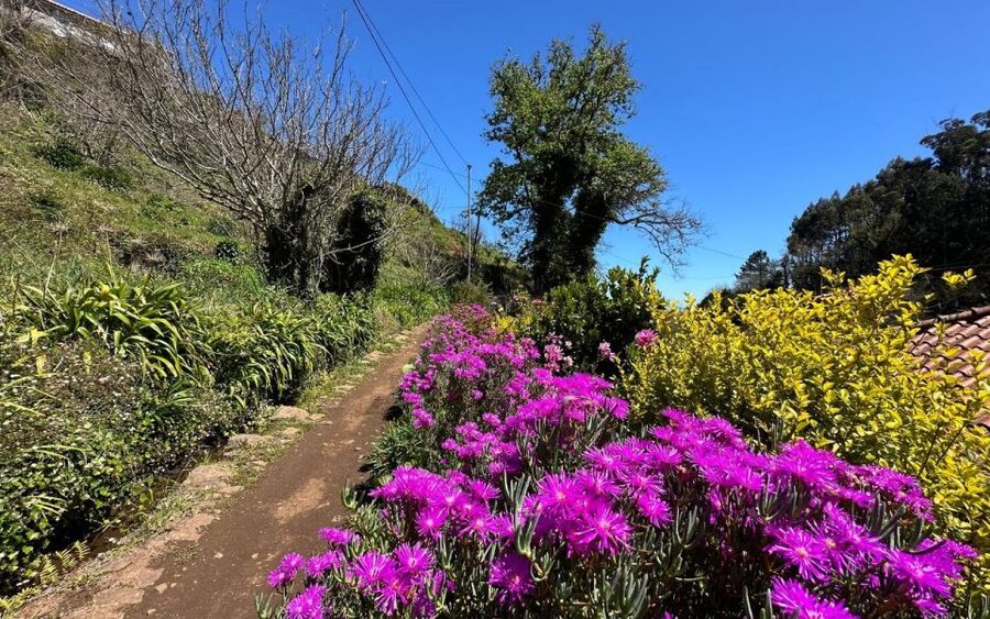 Discover the Paradise Valley - a quick escape for Everyone - The guide makes the difference, especially for plant talk
