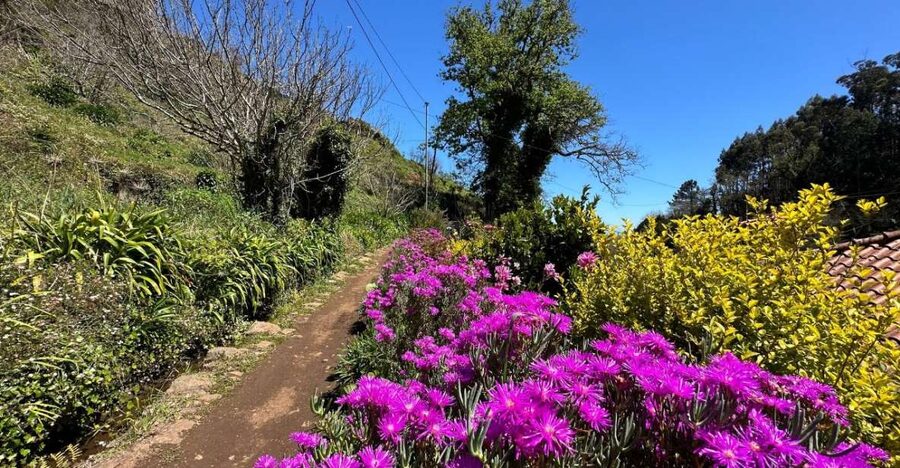 Discover the Paradise Valley - a quick escape for Everyone - Price and value: why $35 feels reasonable for this setup
