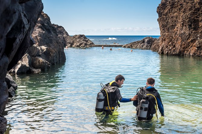 Diving in the Madeira Aquarium - Where this experience actually happens: Aquario da Madeira in Porto Moniz