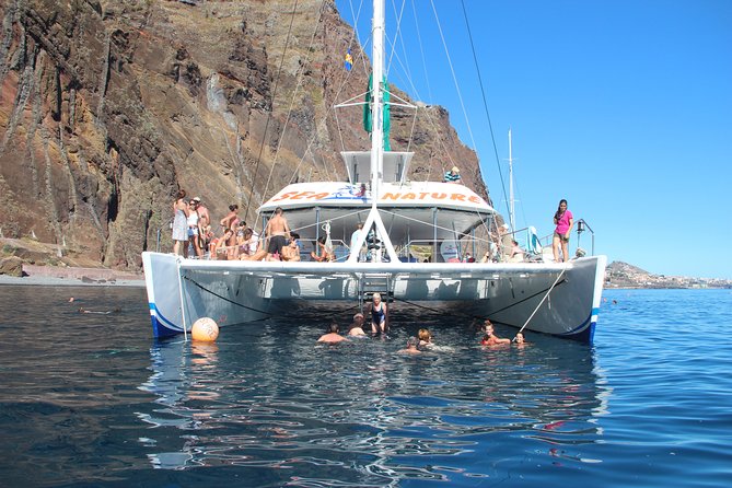 Dolphin and Whale Watching Catamaran Cruise from Funchal - On-board comfort: decks, bar, toilets, and sea-sickness strategy