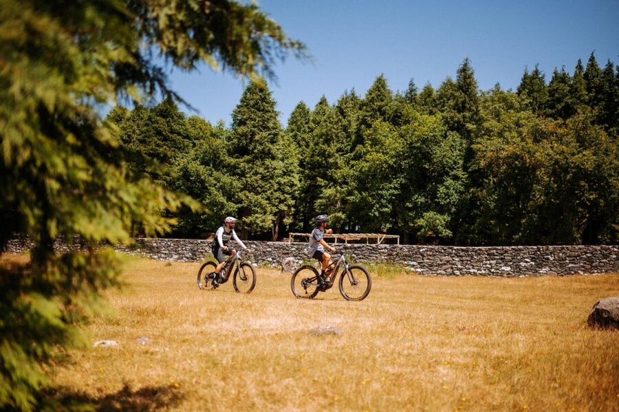 E-Bike Guided Tour - Belle Vue Mountain Biking - Key highlights you will feel on this Madeira E-bike tour