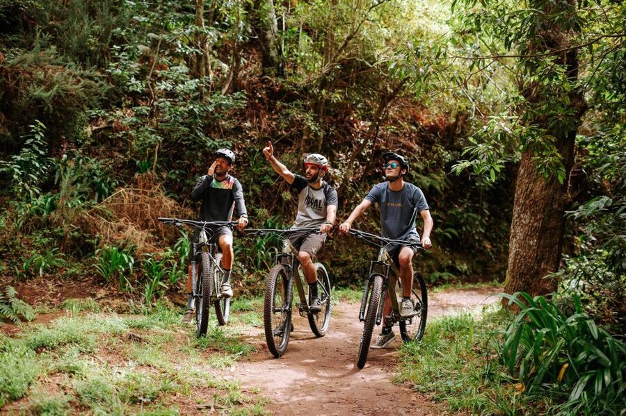 E-Bike Guided Tour - Belle Vue Mountain Biking - Levada da Serra do Faial: the “follow the water” stretch
