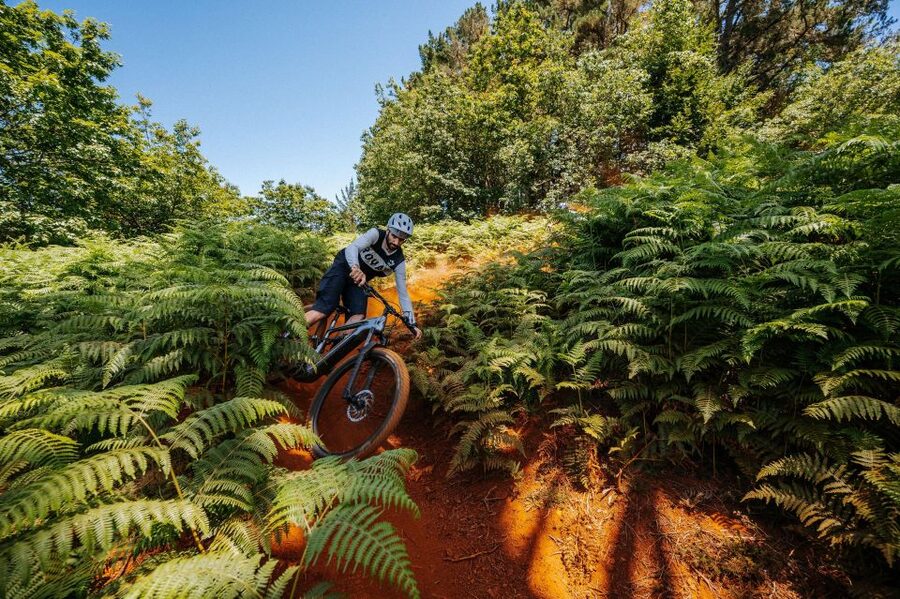 E-Bike Guided Tour - Belle Vue Mountain Biking - Guide skills: why small-group attention changes the day