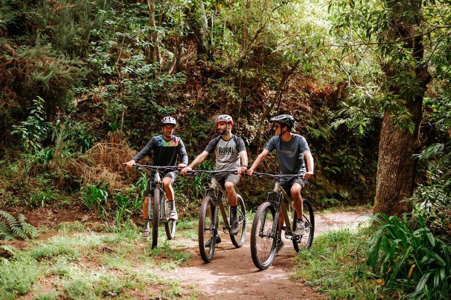 E-Bike Guided Tour - Mountain biking experience - Key Points to Know Before You Go
