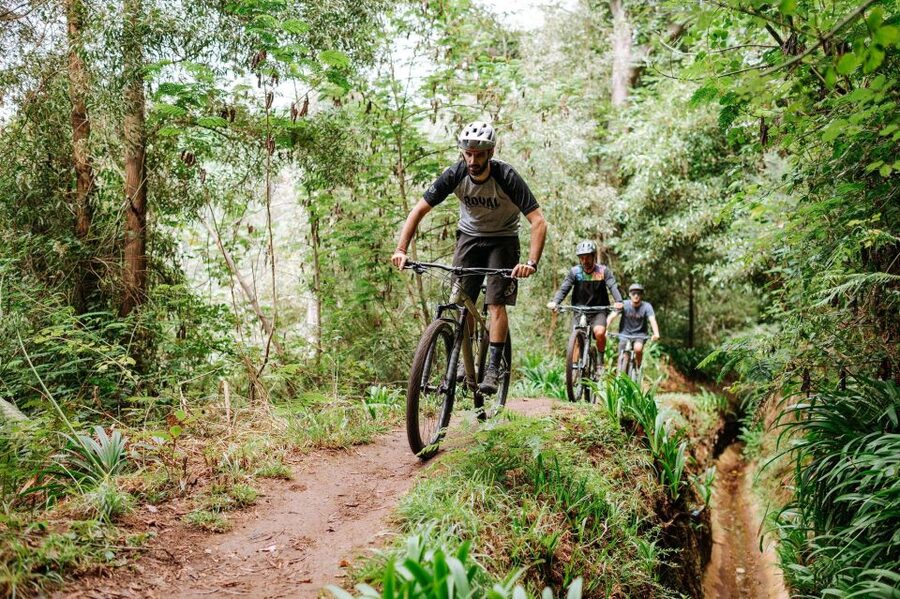 E-Bike Guided Tour - Mountain biking experience - Why This Madeira E-Bike Ride Feels Different