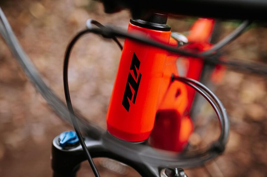 E-Bike Guided Tour - Mountain biking experience - The Riding Plan: 20 to 25 km with Levada Views
