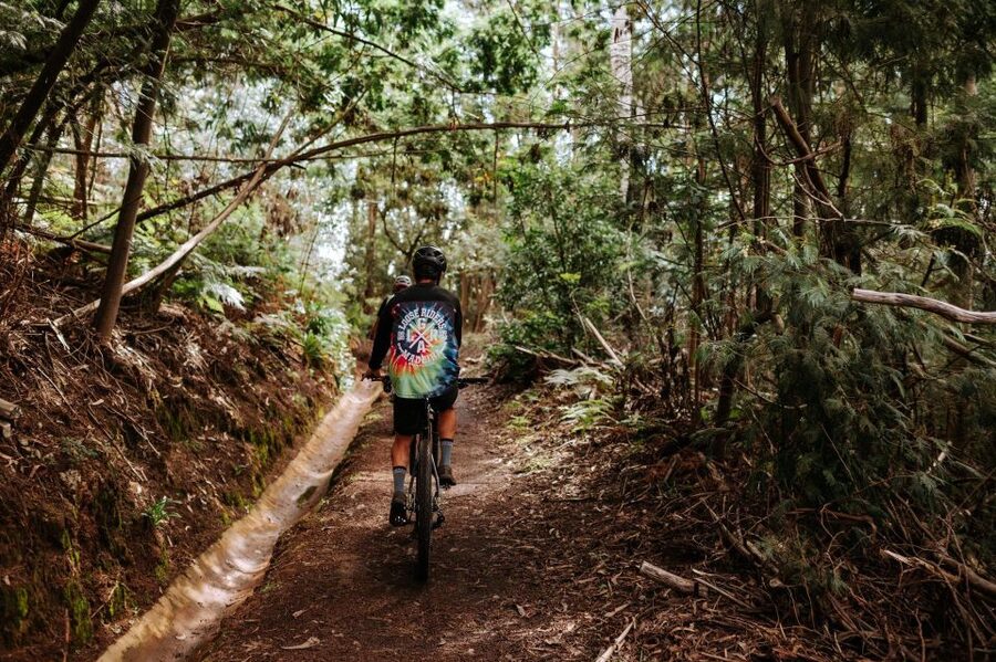E-Bike Guided Tour - West Side Mountain Biking - Ponta do Pargo Lighthouse Stop: Where the West Tip Shows Itself