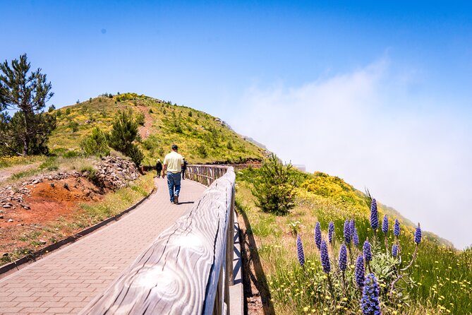 East of Madeira | Full Day 4x4 Tour - Ponta de São Lourenço: Volcanic Rock and Big Color