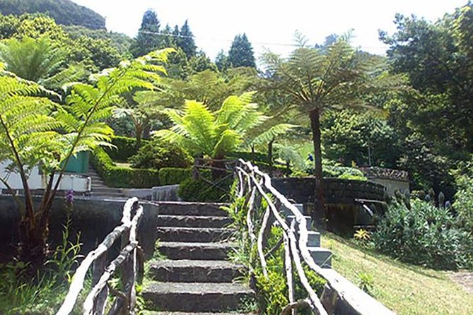 EAST: Pico do Arieiro & Laurissilva Forest - Full Day tour - Stop 2: Camacha and Madeira’s A-Framed House Charm