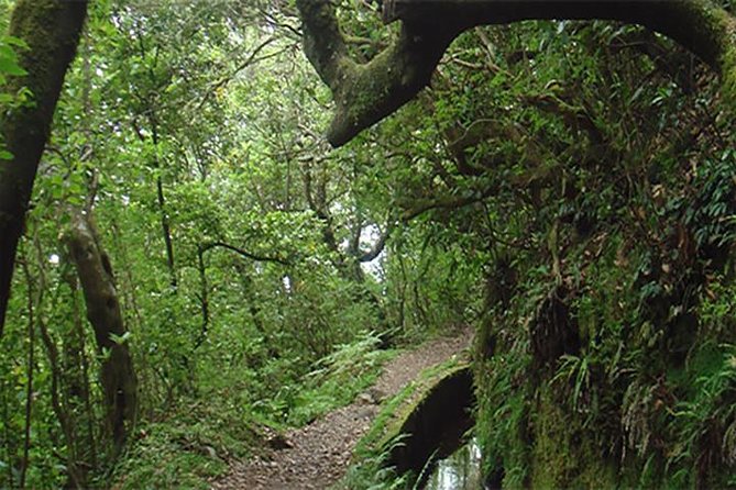 EAST: Pico do Arieiro & Laurissilva Forest - Full Day tour - Stop 3: Pico do Arieiro at 1,818 m, Ridgelines and Cloud Valleys