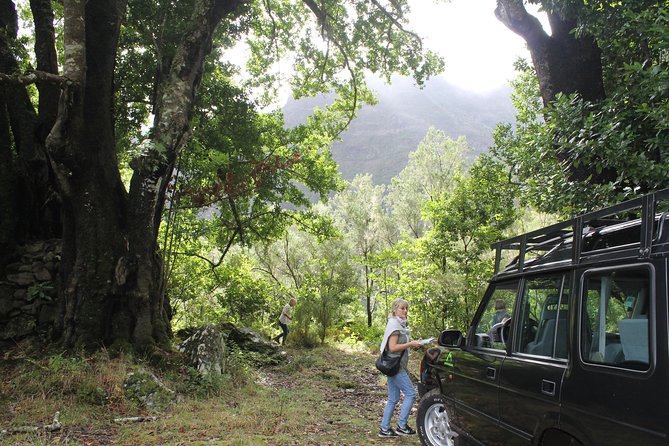 East Tour - 4x4 - Small Group - Ribeiro Frio and the short nature walk to Balcões