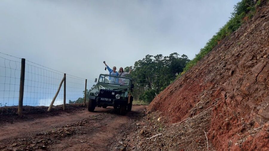 East Tour: Classic jeep tour to East Madeira - Santana - Key Highlights You Can Plan Around