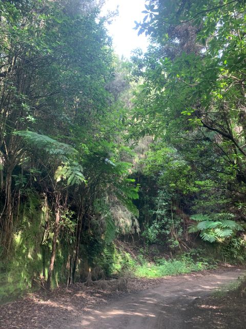 East Tour: Classic jeep tour to East Madeira - Santana - Guindaste Glass Platform: A Short Walk With Big Ocean Views