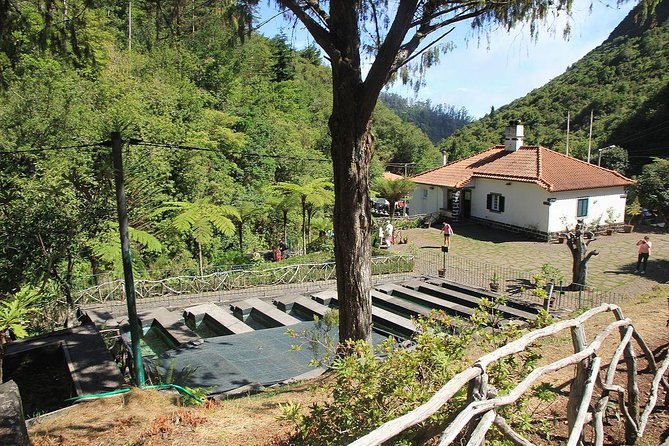 East Tour - Santana - Machico: a finishing touch with historical roots