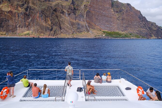 Eco-Friendly Catamaran Dolphin and Whale Watching - Offshore Encounters, Dolphins, Whales, Turtles, and More